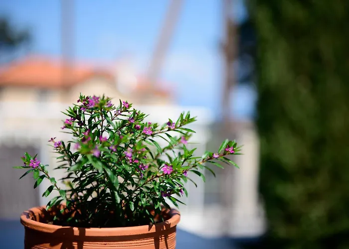 Agapi Deluxe 别墅 *